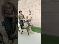 Pony Ride