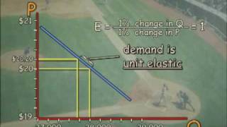 Paul Solman - elasticity pt1