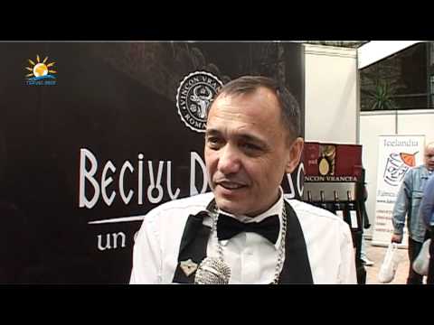 Targul International de Vinuri Goodwine 2012 Florin Vuica somelier Vincon Vrancea