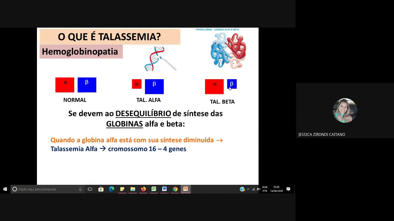 INTRODUÇÃO A TALASSEMIA