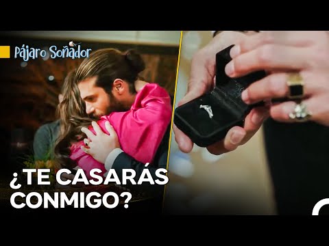 Gran Sorpresa En El Cumpleaños De Can - Pájaro Soñador