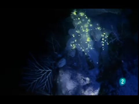 Los colores del agua Un toque de fluorescencia