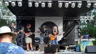 Terrapin Moon - Crazy Fingers 8/9/2013 Miami Valley Music Fest (Dead Covers Project)