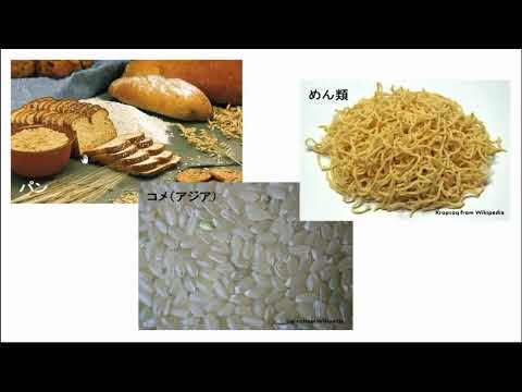 動画サムネイル