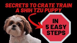 Crate Training A Shih Tzu Puppy (8 weeks old or older) Fast