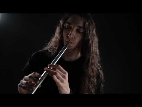 Furor Gallico - Gates Of Annwn (whistle/bouzouki playthrough)