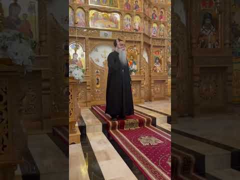 Părintele Irineu Curtescu ~Ms Ponor (Alba Iulia) ~partea a 7a#2025 #live #religion#orthodox #faith  
