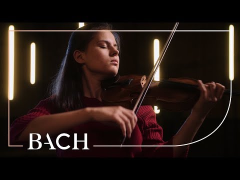 Bach - Loure from Violin partita in E major BWV 1006 - Luna van Leeuwen | Netherlands Bach Society