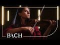 Bach - Loure from Violin partita in E major BWV 1006 - Van Leeuwen | Netherlands Bach Society