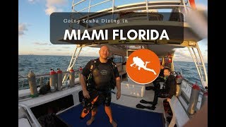 Scuba Diving in Miami Beach Florida
