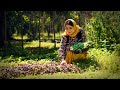 Cooking Ghormeh Sabzi The Most Popular Iranian Stew Rural Cuisine