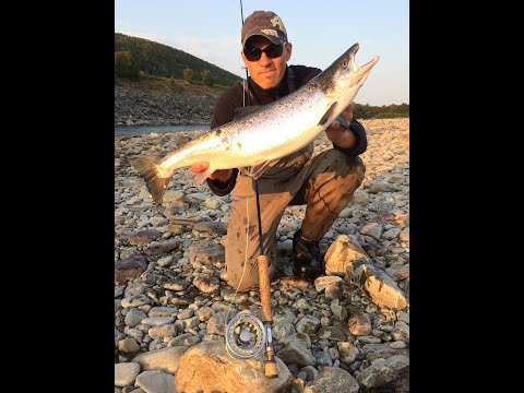 Salmon fishing long time ago