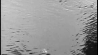 Pather Panchali - Joy