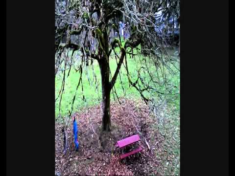 Louis Pepe Class of 2015 LHS