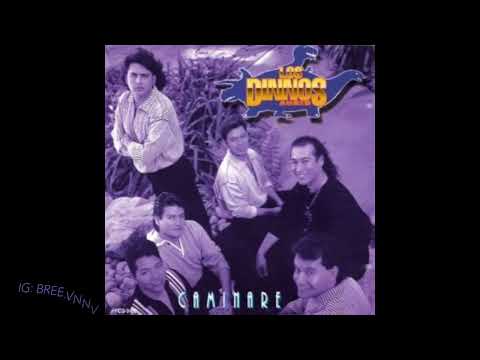 Los Dinnos Aurios - Caminare (Album Completo)