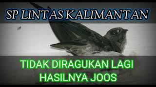 Download lagu SP LINTAS KALIMANTAN/SUARA SUDAH TERBUKTI KESAKTIANNYA (FREE DOWNLOAD) mp3 Download lagu SP LINTAS KALIMANTAN/SUARA SUDAH TERBUKTI KESAKTIANNYA (FREE DOWNLOAD) mp3
