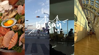 busan vlog 🌉🐚 🎆 new years in busan
