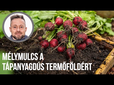 Magaságyás, veteményes téli takarása mélymulccsal | kert TV