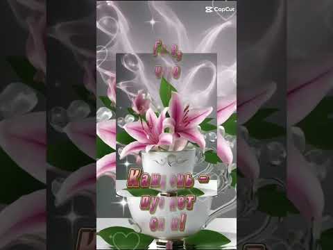 🌺💖 #доброеутро #музыкальнаяоткрытка