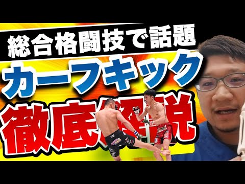 【徹底解説】格闘家のトレーナーから見たカーフキックの威力を医学的理論で大分析【RIZIN公式スポンサー 整体院カラダコンディショニングミツ大阪阿倍野】