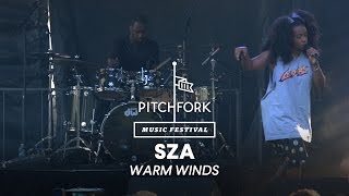 SZA performs  &quot;Warm Winds&quot; - Pitchfork Music Festival 2014