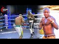 Mandonga Kuja Na Ngumi Kutoka Qatar Aina Ya Pelesu Pelesu