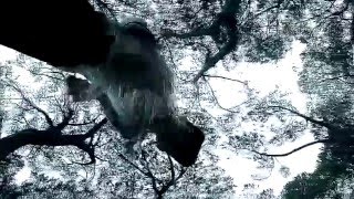 Donci - Margine // Street Video