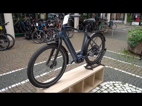 E-Bike Simplon KAGU BOSCH CX Balloon Trekking Bosch Performance Line CX Review