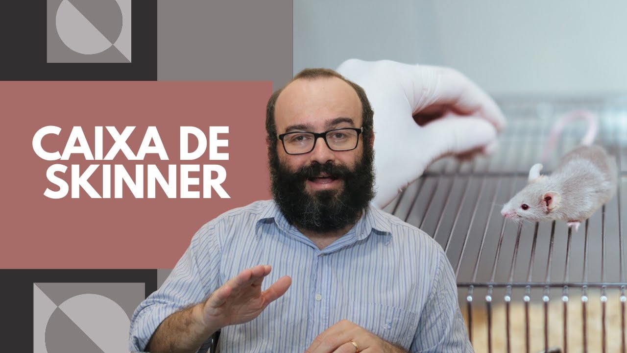 Caixa de Skinner | Reforço | Modelagem | Aprendizagem #8