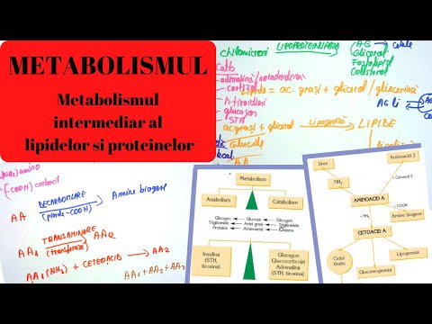 ADMITERE MEDICINA: METABOLISMUL 2: Metabolismul intermediar al lipidelor si proteinelor