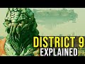 DISTRICT 9 (The Prawns, Multi-National United + Ending) EXPLAINED