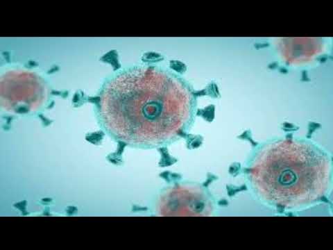 kara veba vs covid-19