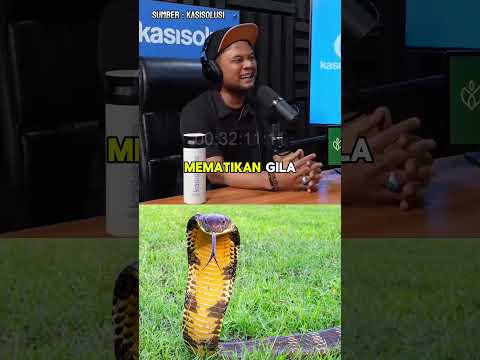 Ular dengan bisa paling mematikan