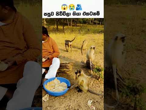 😢 එදා වේල හොයාගන්න මනුස්සයෙක් මෙහෙම දානයක් දුන්නා කියන්නේ පුදුම පිනක් humanity #humanity