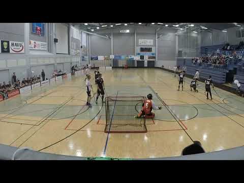 Maalikooste SCH- VSS