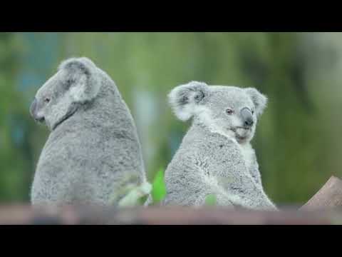 HNO-Arzt in Dinkelscherben sucht Nachfolger!