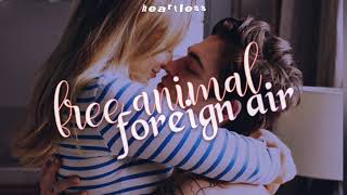 Foreign Air - Free Animal [ Tradução - Legendado ] | After 3