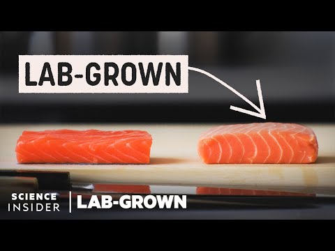 This Salmon Has Been Fully Grown in a Lab!