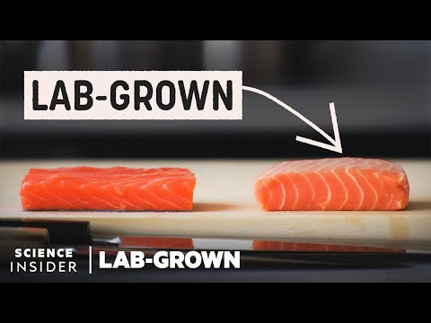 實驗室培育的鮭魚會是魚類的未來嗎？| 實驗室培養 (Could Lab-Grown Salmon Be The Future Of Fish? | Lab-Grown)