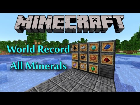 cubfan135 - I Set a Minecraft World Record