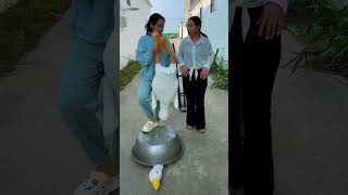 Download lagu Amazing funny video make you happy #shorts #funny #comedy #coco-fun mp3