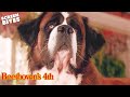 Naughty Beethoven Angers Richard And Julia Beethoven S 4th Screen Bites