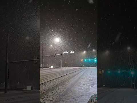 hany shaker bekol el omr lyrics هاني شاكر بكل العمر حالات واتس