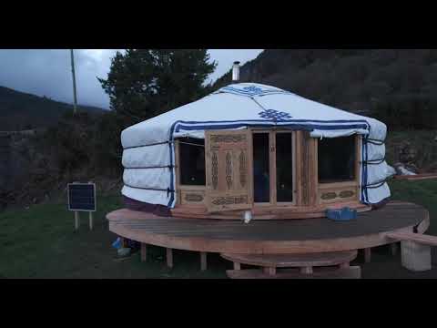 Tailor Birds at Bosca Beatha yurt, Glenmalure