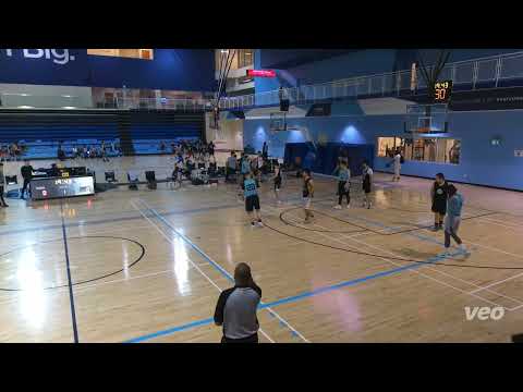 btfo vs steveless - saturday tier 4 playoffs - tcbl 2022 fall