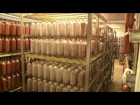 Polgármesteri bejárás a Kaiser Food- nál  2019.09.12.