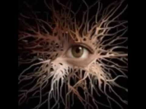 PERTURCOCOS LUIS GEE