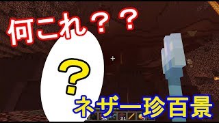 【マイクラ実況】ネザーなにこれ珍百景！　こんなの見たことない！【新ホリクラ】Part9