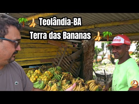 🌴🍌 Teolândia-BA  Terra das Bananas 🍌🌴