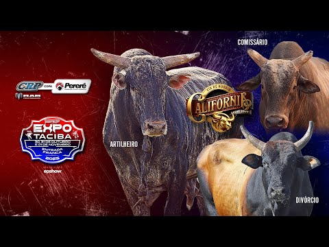Rodeio de TACIBA 2025 (S0RTEI0 / SÁBADO / SEMI FINAL)